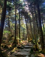 Mt. Mitchell State Park- Highest Mountain Peak east of the Rocky-  Mountains
