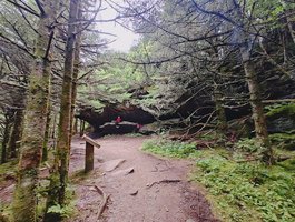 Mt. Mitchell State Park- Highest Mountain Peak east of the Rocky-  Mountains Temporarily Closed
