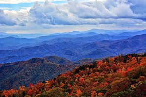 Mt. Mitchell State Park- Highest Mountain Peak east of the Rocky-  Mountains