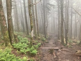 Mt. Mitchell State Park- Highest Mountain Peak east of the Rocky-  Mountains