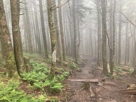 Mt. Mitchell State Park- Highest Mountain Peak east of the Rocky-  Mountains