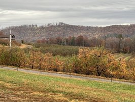 Apple Hill Orchard