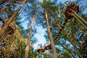 Beanstalk Zip Lines- Temporarily Closed