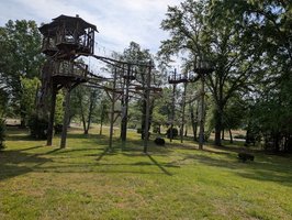Beanstalk Zip Lines- Temporarily Closed