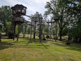 Beanstalk Zip Lines