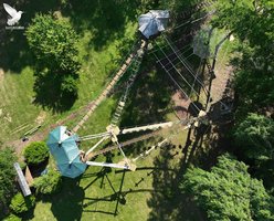 Beanstalk Zip Lines