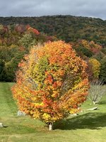 Beech Mountain Ski Slope - Mountain Bike Park & Disc Golf