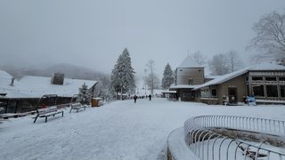 Beech Mountain Ski Slope - Mountain Bike Park & Disc Golf