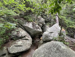 Blue Ridge Parkway- Partially Closed