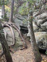 Blue Ridge Parkway- Partially Closed