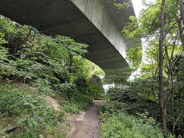 Blue Ridge Parkway- Partially Closed