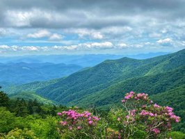 Blue Ridge Parkway- Partially Open (August 7, 2025)
