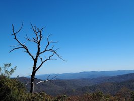 Blue Ridge Parkway- Partially Open (August 7, 2025)