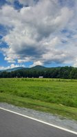 Blue Ridge Parkway- Partially Open (August 7, 2025)