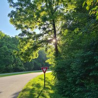 Blue Ridge Parkway- Partially Open (August 7, 2025)