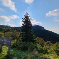 Blue Ridge Parkway- Partially Open (August 7, 2025)