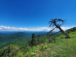 Blue Ridge Parkway- Partially Open