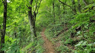 Blue Ridge Parkway- Partially Open