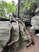 Blue Ridge Parkway- Partially Open
