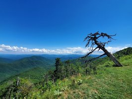 Blue Ridge Parkway- Partially Open