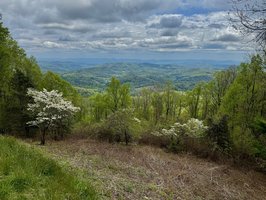 Blue Ridge Parkway- Temporarily Closed
