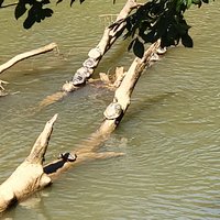 Catawba River Greenway- Partially Reopen