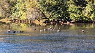 Catawba River Greenway- Partially Reopen