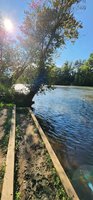 Catawba River Greenway- Partially Reopen