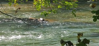 Catawba River Greenway- Partially Reopen