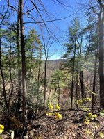 Chestnut Knob Trail-Temporarily Closed