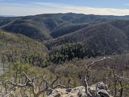 Chestnut Knob Trail-Temporarily Closed