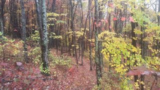 Chestnut Knob Trail-Temporarily Closed