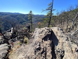 Chestnut Knob Trail-Temporarily Closed