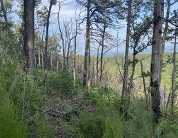 Chestnut Knob Trail-Temporarily Closed