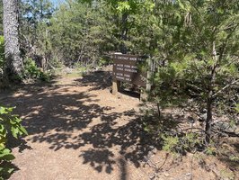 Chestnut Knob Trail