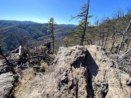 Chestnut Knob Trail