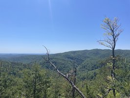 Chestnut Knob Trail