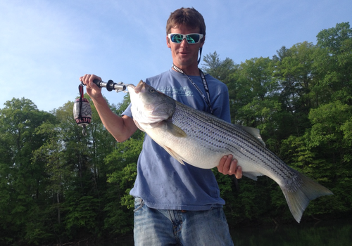 Colt Bass Fishing Featured Image