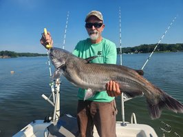 Colt Bass Fishing