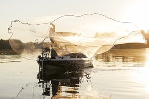 Colt Bass Fishing