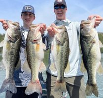 Colt Bass Fishing