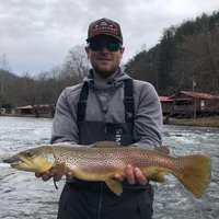 Colt Bass Fishing