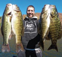 Colt Bass Fishing