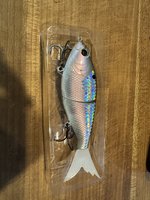 Colt Bass Fishing