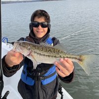 Colt Bass Fishing