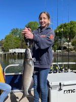Colt Bass Fishing