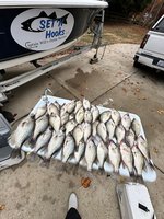 Colt Bass Fishing