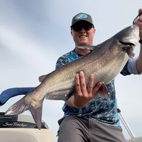 Colt Bass Fishing
