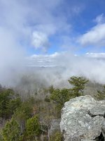 Daffodil Flats- Sensitive Ecological Area