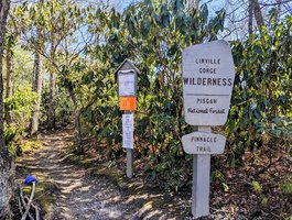 Daffodil Flats- Sensitive Ecological Area